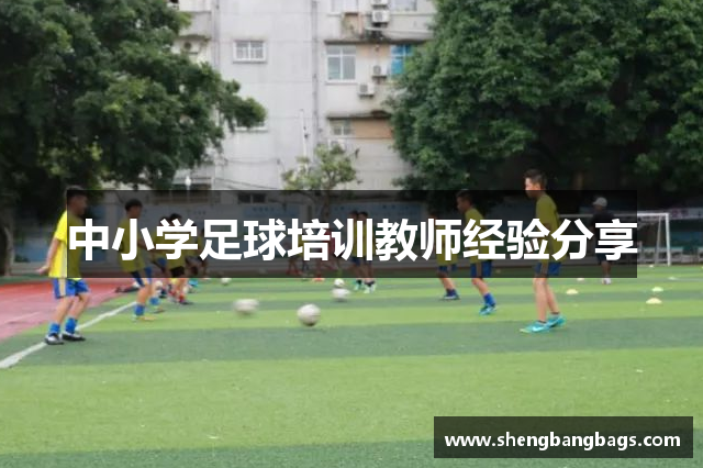 中小学足球培训教师经验分享