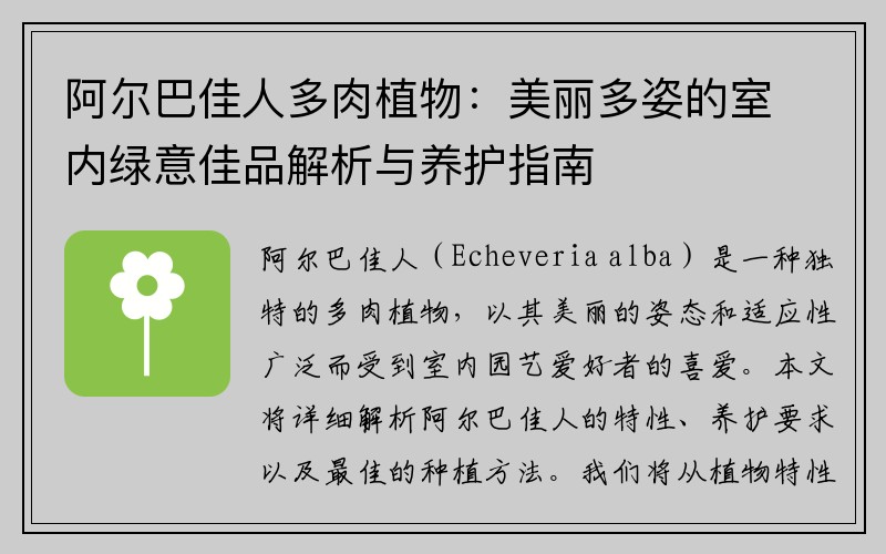 阿尔巴佳人多肉植物：美丽多姿的室内绿意佳品解析与养护指南