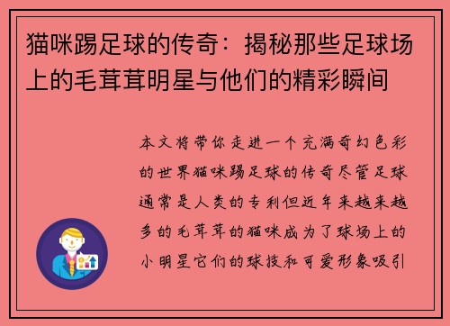 猫咪踢足球的传奇：揭秘那些足球场上的毛茸茸明星与他们的精彩瞬间